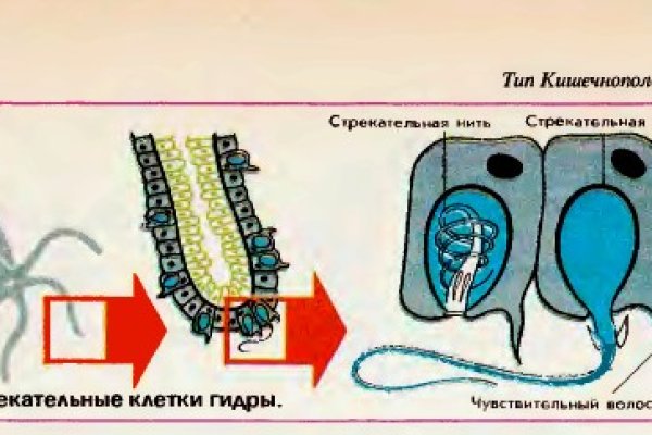 Кракен дарксайд