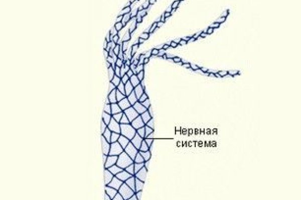 Кракен актуальная ссылка тор
